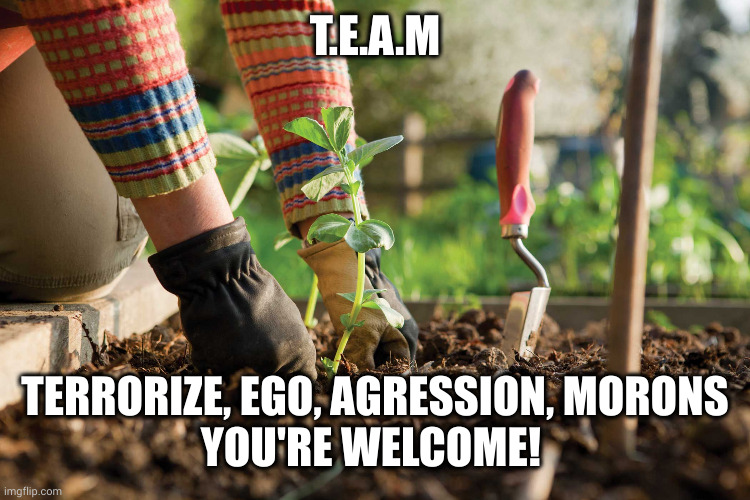 Teamwork & Capitalism = SNAFU | T.E.A.M; TERRORIZE, EGO, AGRESSION, MORONS

YOU'RE WELCOME! | image tagged in gardening,snafu,motivational,capitalism,teamwork,memes | made w/ Imgflip meme maker