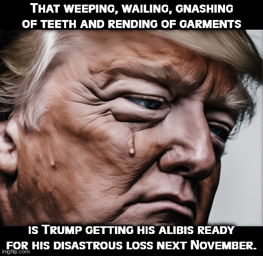 Excuses, excuses. Always whining about election rigging, deep state, immigrants, blah, blah, blah. | That weeping, wailing, gnashing of teeth and rending of garments; is Trump getting his alibis ready for his disastrous loss next November. | image tagged in trump,loser,alibi,excuses,blame,whining | made w/ Imgflip meme maker