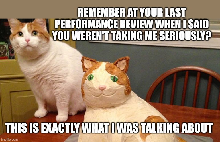 Cat and cat cake | REMEMBER AT YOUR LAST PERFORMANCE REVIEW WHEN I SAID YOU WEREN'T TAKING ME SERIOUSLY? THIS IS EXACTLY WHAT I WAS TALKING ABOUT | image tagged in cat and cat cake | made w/ Imgflip meme maker