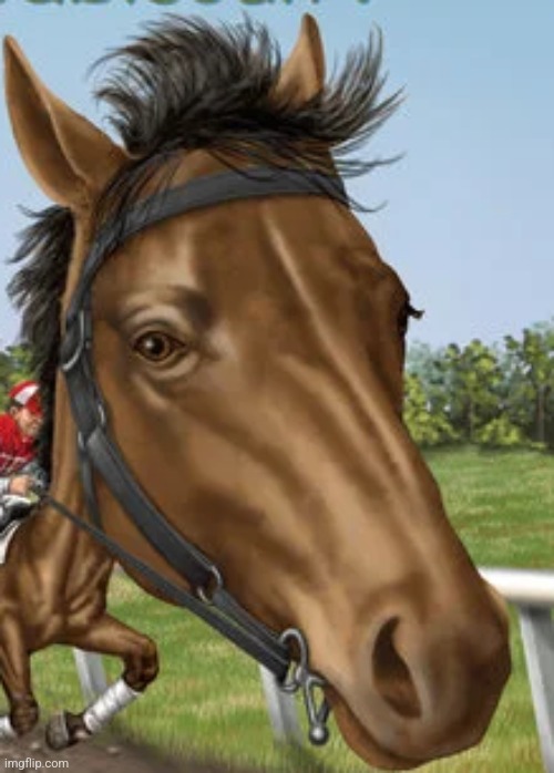 Big horse | image tagged in big horse | made w/ Imgflip meme maker