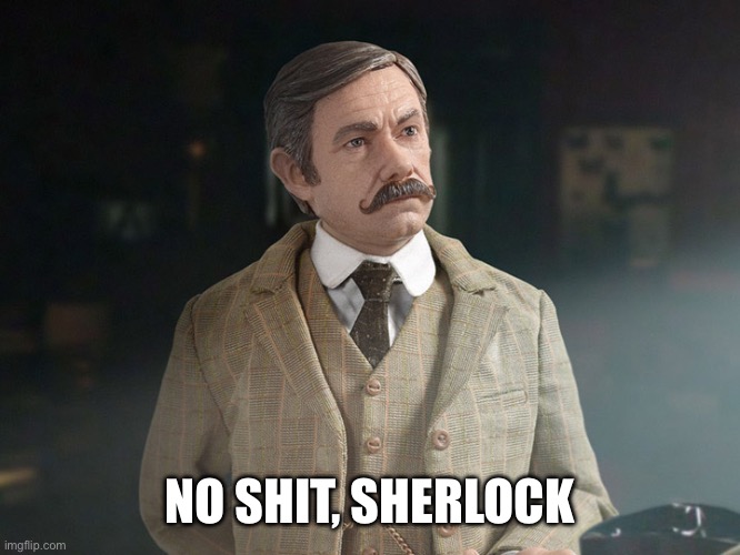 Dr. Watson | NO SHIT, SHERLOCK | image tagged in dr watson | made w/ Imgflip meme maker