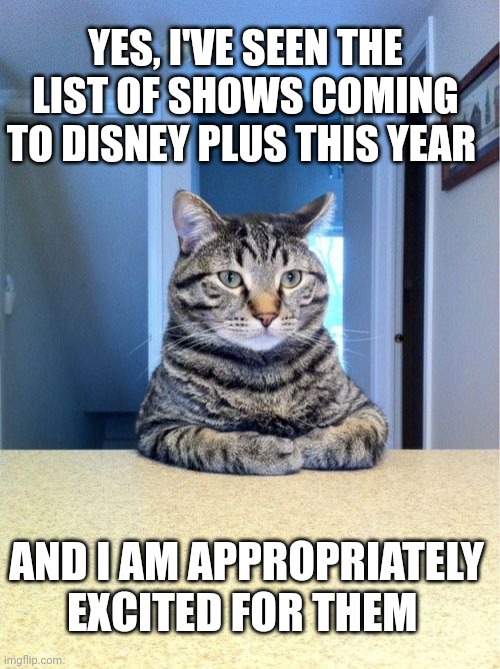Take A Seat Cat | YES, I'VE SEEN THE LIST OF SHOWS COMING TO DISNEY PLUS THIS YEAR; AND I AM APPROPRIATELY EXCITED FOR THEM | image tagged in memes,take a seat cat | made w/ Imgflip meme maker