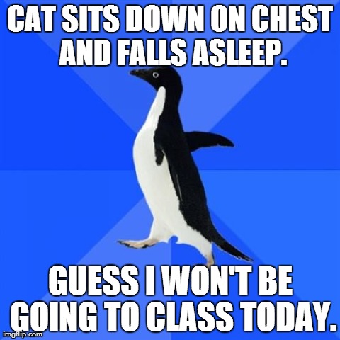 Socially Awkward Penguin | CAT SITS DOWN ON CHEST AND FALLS ASLEEP. GUESS I WON'T BE GOING TO CLASS TODAY. | image tagged in memes,socially awkward penguin,AdviceAnimals | made w/ Imgflip meme maker