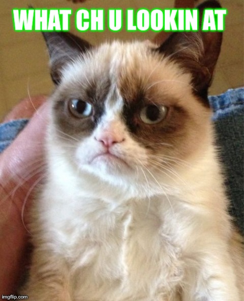 Grumpy Cat Meme | WHAT CH U LOOKIN AT | image tagged in memes,grumpy cat | made w/ Imgflip meme maker