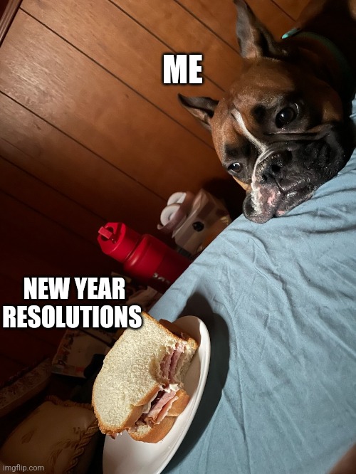 Sammich | ME; NEW YEAR RESOLUTIONS | image tagged in dogs,bad pun dog | made w/ Imgflip meme maker