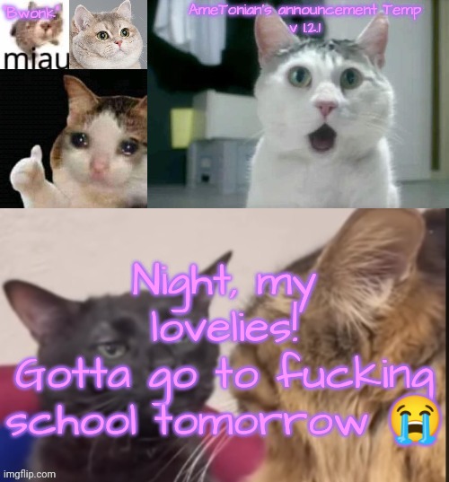 AmeTonian's announcement Temp v 1.2.1 | Night, my lovelies!
Gotta go to fucking school tomorrow 😭 | image tagged in ametonian's announcement temp v 1 2 1 | made w/ Imgflip meme maker