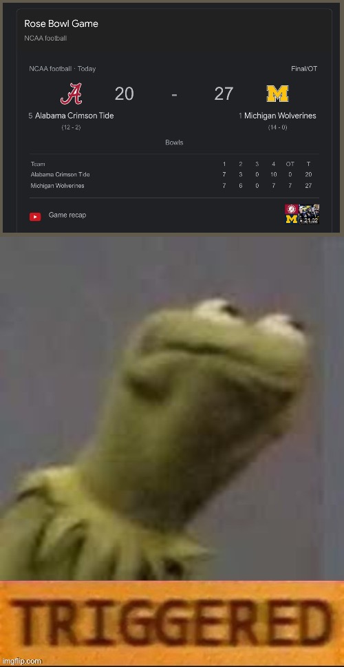 Bruh | image tagged in kermit triggered,damn,annoying | made w/ Imgflip meme maker