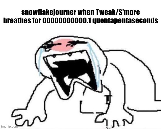 snowflakejourner when Tweak/S'more breathes for 00000000000.1 quentapentaseconds | made w/ Imgflip meme maker