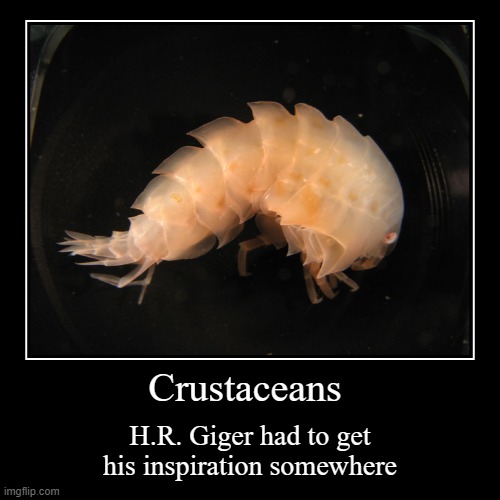 Crustaceans | H.R. Giger had to get his inspiration somewhere | image tagged in funny,demotivationals | made w/ Imgflip demotivational maker