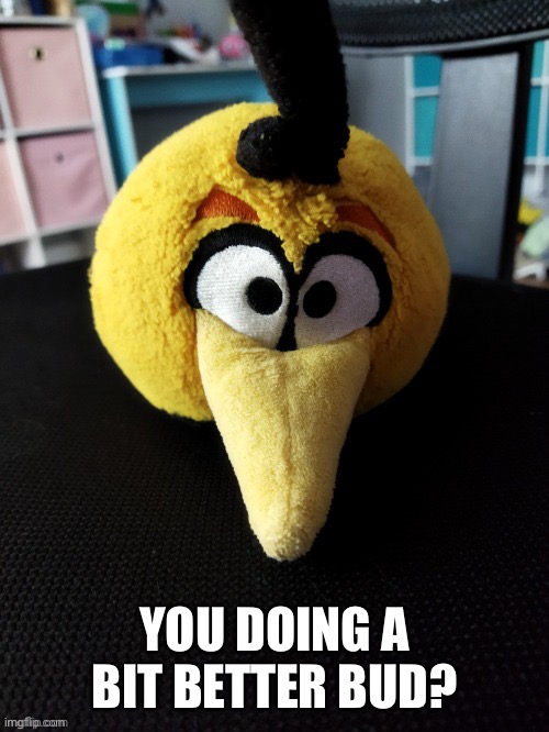 YOU DOING A BIT BETTER BUD? | made w/ Imgflip meme maker
