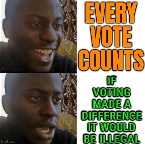 Voting Makes A Difference | EVERY VOTE COUNTS; IF VOTING
MADE A DIFFERENCE IT WOULD BE ILLEGAL | image tagged in good and bad news,voting,election,elections,i love democracy,democracy | made w/ Imgflip meme maker