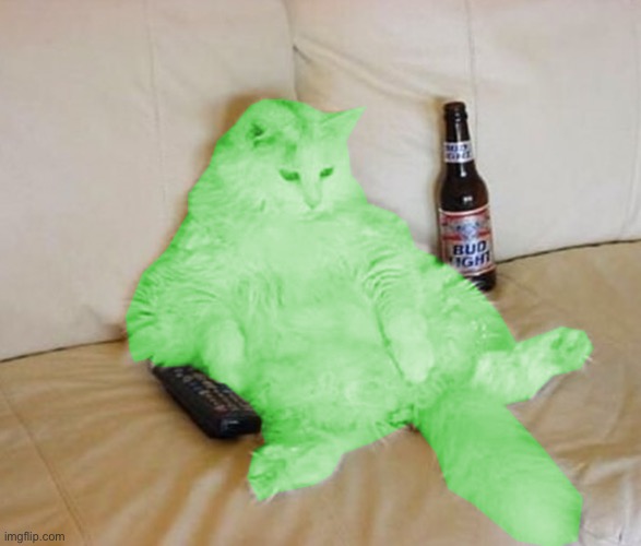 Blud be more at peace than all of us, except Trez | image tagged in raycat chillin' | made w/ Imgflip meme maker