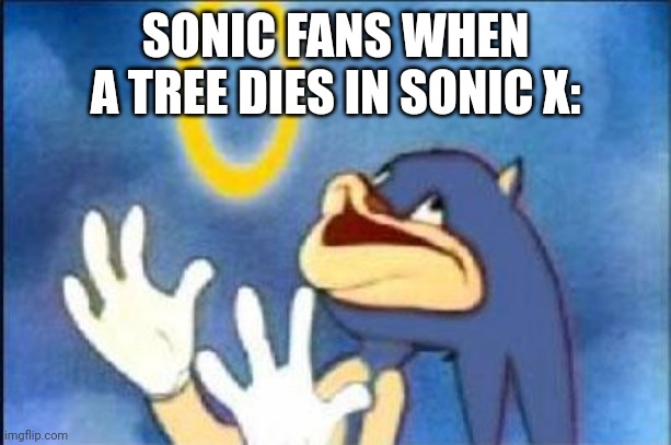 Sonic derp | SONIC FANS WHEN A TREE DIES IN SONIC X: | image tagged in sonic derp | made w/ Imgflip meme maker