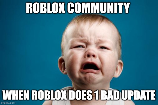 crybaby | ROBLOX COMMUNITY; WHEN ROBLOX DOES 1 BAD UPDATE | image tagged in crybaby | made w/ Imgflip meme maker