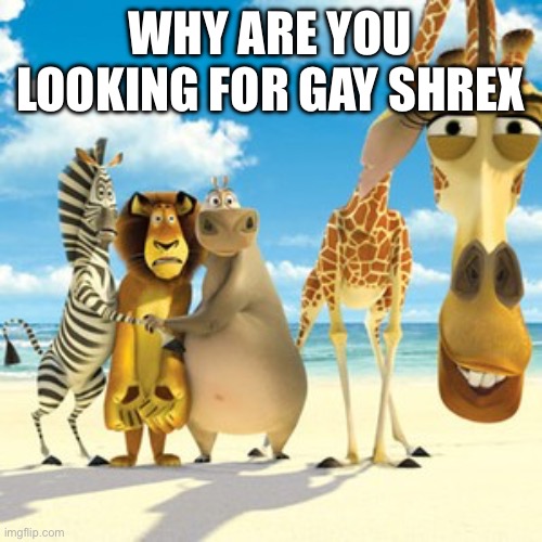 why are you white | WHY ARE YOU LOOKING FOR GAY SHREX | image tagged in why are you white | made w/ Imgflip meme maker