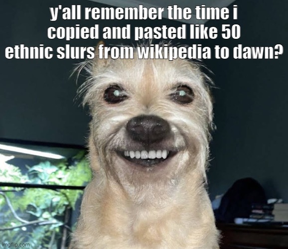 The "Dog" | y'all remember the time i copied and pasted like 50 ethnic slurs from wikipedia to dawn? | image tagged in the dog | made w/ Imgflip meme maker