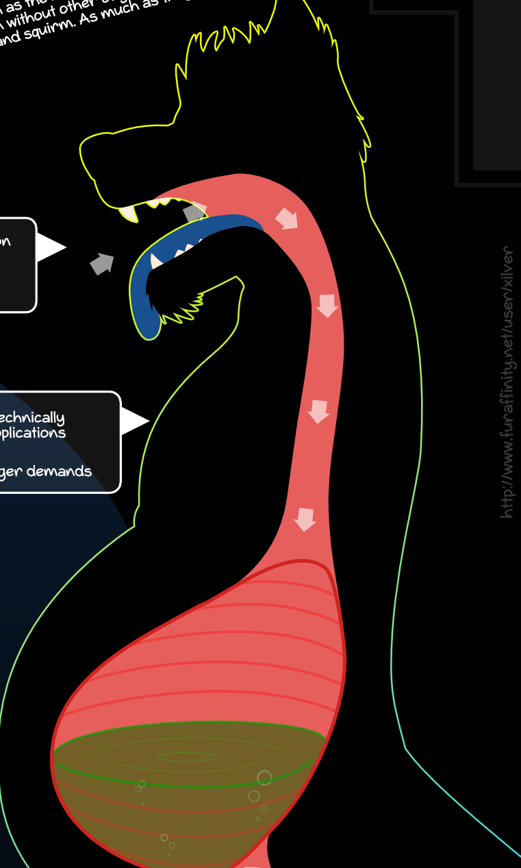 How to go down a furry's throat (VORE) Blank Meme Template