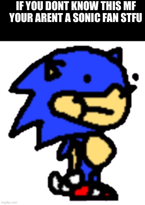stfu | IF YOU DONT KNOW THIS MF YOUR ARENT A SONIC FAN STFU | image tagged in stfu | made w/ Imgflip meme maker