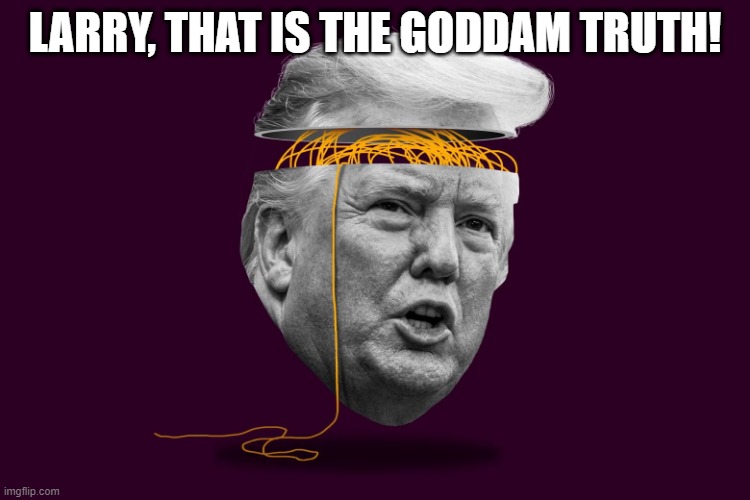 LARRY, THAT IS THE GODDAM TRUTH! | made w/ Imgflip meme maker