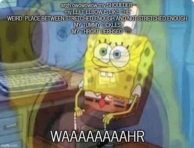 I WANT MY MOMS BACKM ASSAGER | argh owowowow my SHOULDER 
my LEFT ELBOW IS LIKE THE WEIRD  PLACE BETWEEN STRETCHED ENOUGH AND NOT STRETCHED ENOUGH
MY TUMMY TICKLES
MY THROAT UERHSEO; WAAAAAAAAHR | image tagged in spongebob screaming inside | made w/ Imgflip meme maker