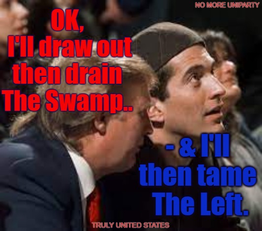 Trump Kennedy Jr - The Great Awakeners | NO MORE UNIPARTY; OK,
 I'll draw out then drain The Swamp.. - & I'll then tame  The Left. TRULY UNITED STATES | image tagged in trump,kennedy,president,jfk jr,john f kennedy jr | made w/ Imgflip meme maker