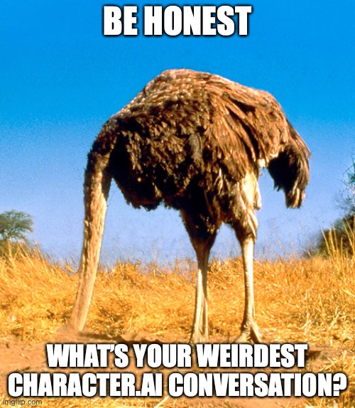 ytresasnmutbrve | BE HONEST; WHAT’S YOUR WEIRDEST CHARACTER.AI CONVERSATION? | image tagged in denial be like | made w/ Imgflip meme maker