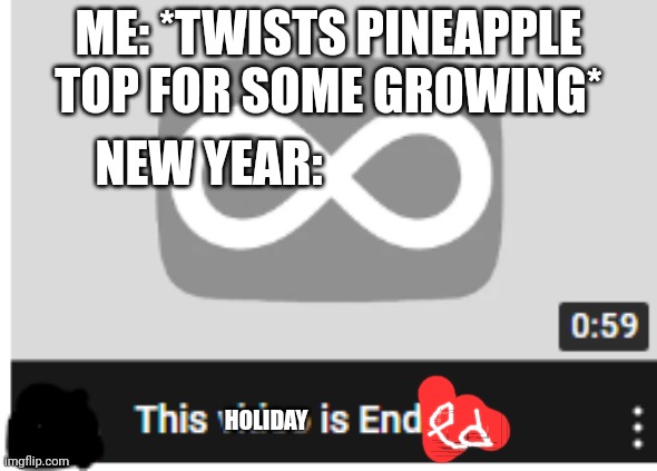 I Think It Ends... | ME: *TWISTS PINEAPPLE TOP FOR SOME GROWING*; NEW YEAR:; HOLIDAY | image tagged in i think it ends | made w/ Imgflip meme maker