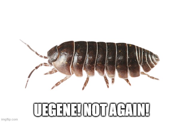 big isopod | UEGENE! NOT AGAIN! | image tagged in isopod,stupid,funny | made w/ Imgflip meme maker