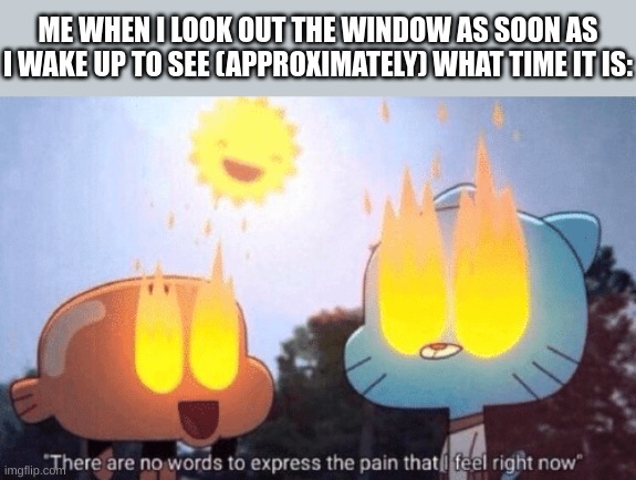 And that's why I have a watch so I wouldn't have to "burn" my eyes in the morning! :D | ME WHEN I LOOK OUT THE WINDOW AS SOON AS I WAKE UP TO SEE (APPROXIMATELY) WHAT TIME IT IS: | image tagged in there are no words to express the pain that i feel right now,sunrise,my eyes,memes,fresh memes | made w/ Imgflip meme maker