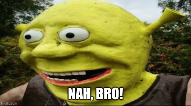 shrek nah bro | NAH, BRO! | image tagged in shrek nah bro | made w/ Imgflip meme maker