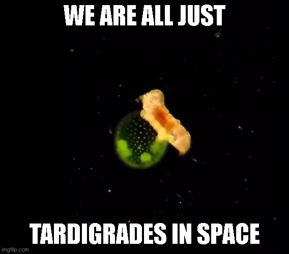 we're all tardigrades | WE ARE ALL JUST; TARDIGRADES IN SPACE | image tagged in funny memes,meme | made w/ Imgflip meme maker