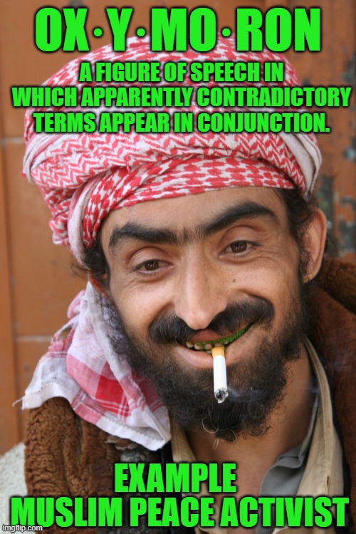 yep | A FIGURE OF SPEECH IN WHICH APPARENTLY CONTRADICTORY TERMS APPEAR IN CONJUNCTION. OX·Y·MO·RON; EXAMPLE; MUSLIM PEACE ACTIVIST | image tagged in arab | made w/ Imgflip meme maker