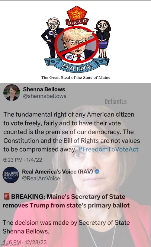 Sheena Bellows Compromised The Constitution | image tagged in sheena bellows compromised the constitution | made w/ Imgflip meme maker