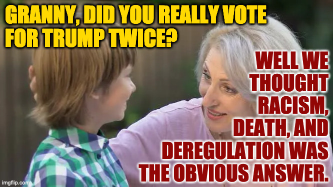 Your grands might be lots smarter than you. | GRANNY, DID YOU REALLY VOTE
FOR TRUMP TWICE? WELL WE
THOUGHT
RACISM,
DEATH, AND
DEREGULATION WAS
THE OBVIOUS ANSWER. | image tagged in memes,granny wisdum | made w/ Imgflip meme maker