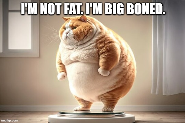 meme by Brad cat is big boned | I'M NOT FAT. I'M BIG BONED. | image tagged in cats,cat,cat memes,cat meme,funny cat memes | made w/ Imgflip meme maker