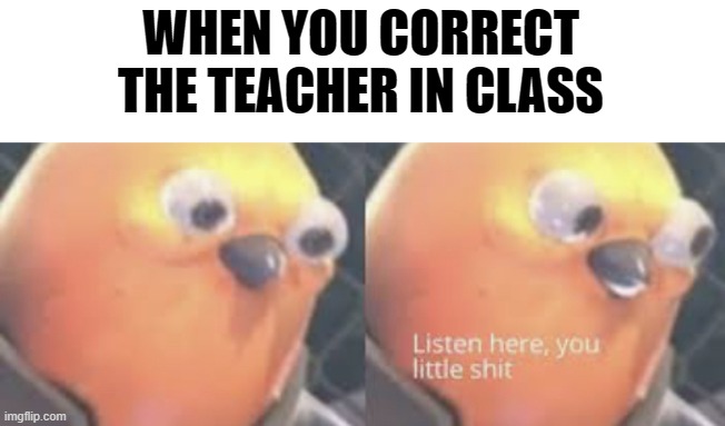 Listen here you little shit bird | WHEN YOU CORRECT THE TEACHER IN CLASS | image tagged in listen here you little shit bird | made w/ Imgflip meme maker