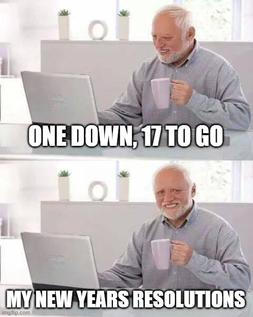 Hide the Pain Harold | ONE DOWN, 17 TO GO; MY NEW YEARS RESOLUTIONS | image tagged in memes,hide the pain harold | made w/ Imgflip meme maker