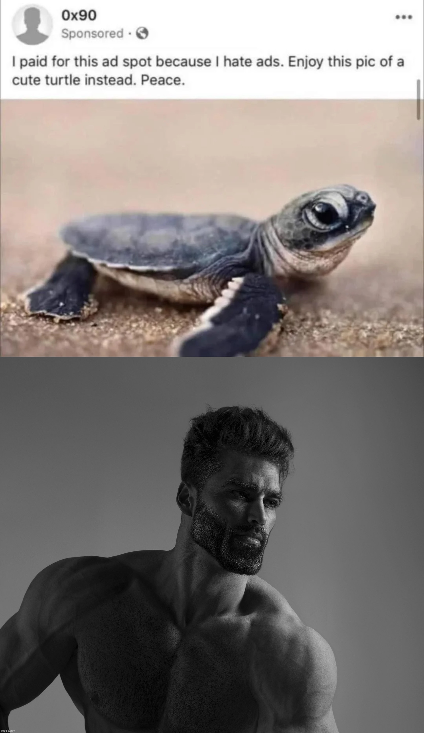 we need more people like that guy | image tagged in giga chad,repost,ads,turtle | made w/ Imgflip meme maker