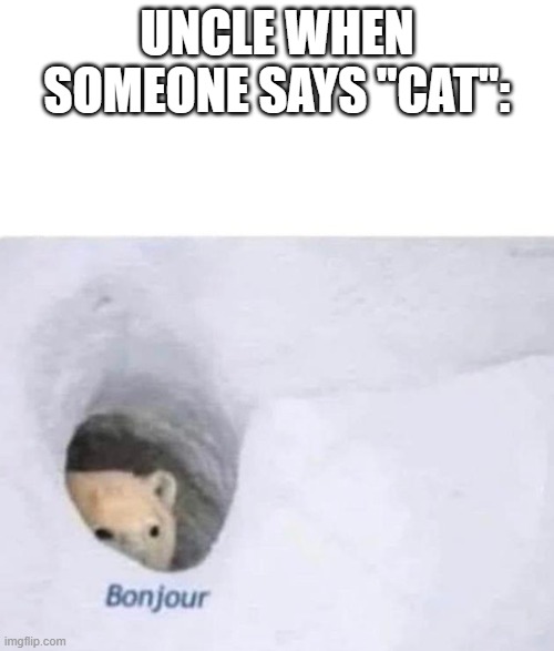 random bread boys meme | UNCLE WHEN SOMEONE SAYS "CAT": | image tagged in bonjour,bread boys | made w/ Imgflip meme maker