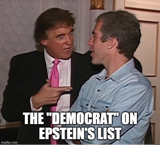 trump epstein party | THE "DEMOCRAT" ON
EPSTEIN'S LIST | image tagged in trump epstein party | made w/ Imgflip meme maker