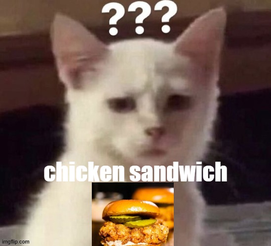 wsp chat | chicken sandwich | made w/ Imgflip meme maker