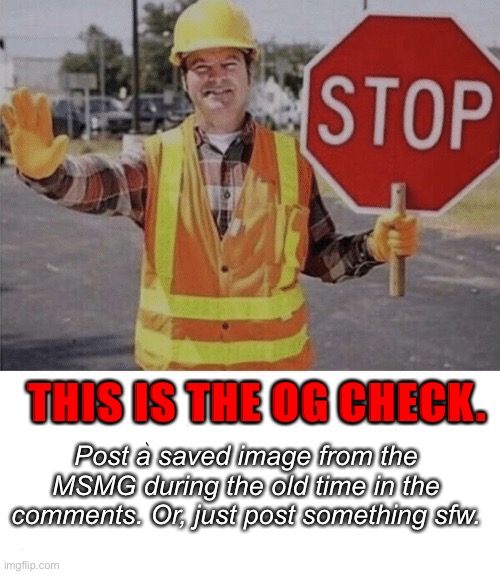 Hold up! OG check! | Post a saved image from the MSMG during the old time in the comments. Or, just post something sfw. THIS IS THE OG CHECK. | image tagged in checkpoint | made w/ Imgflip meme maker