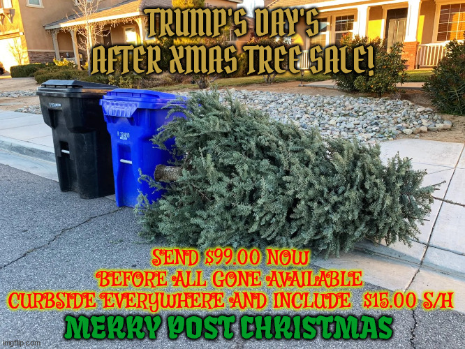 Trump's Days After Christmas Tree Sale | TRUMP'S DAY'S AFTER XMAS TREE SALE! SEND $99.00 NOW BEFORE ALL GONE AVAILABLE CURBSIDE EVERYWHERE AND INCLUDE  $15.00 S/H; MERRY POST CHRISTMAS | image tagged in xmas trees,trump scam,send money to trump,maga,merry post christmas,discarded christmas trees | made w/ Imgflip meme maker