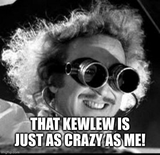 Mad Scientist | THAT KEWLEW IS JUST AS CRAZY AS ME! | image tagged in mad scientist | made w/ Imgflip meme maker