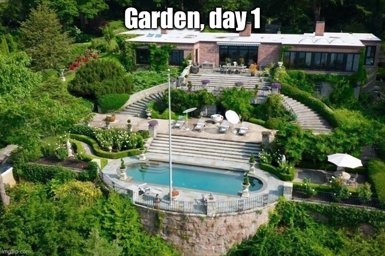 Garden | Garden, day 1 | image tagged in garden | made w/ Imgflip meme maker