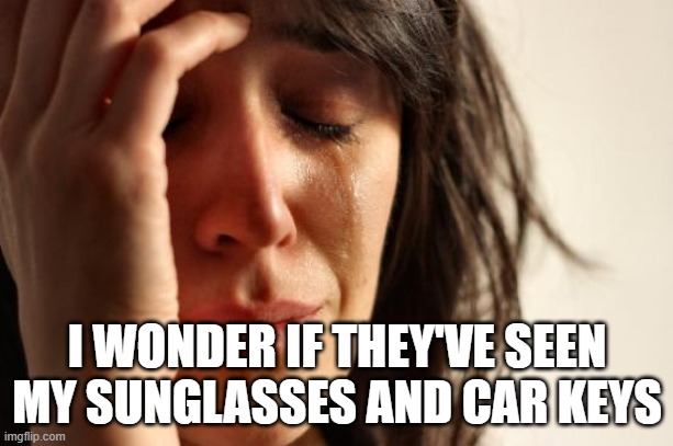 First World Problems Meme | I WONDER IF THEY'VE SEEN MY SUNGLASSES AND CAR KEYS | image tagged in memes,first world problems | made w/ Imgflip meme maker
