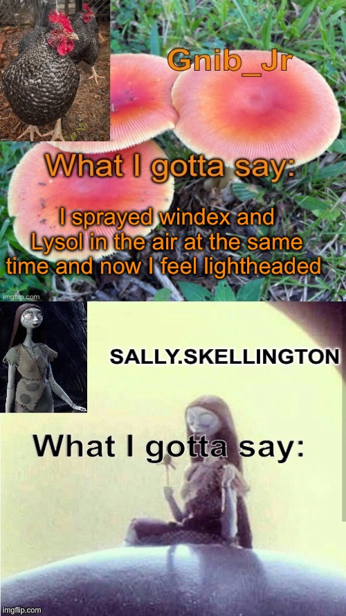 I sprayed windex and Lysol in the air at the same time and now I feel lightheaded | image tagged in gnib_jr and sally skellington announcement temp | made w/ Imgflip meme maker