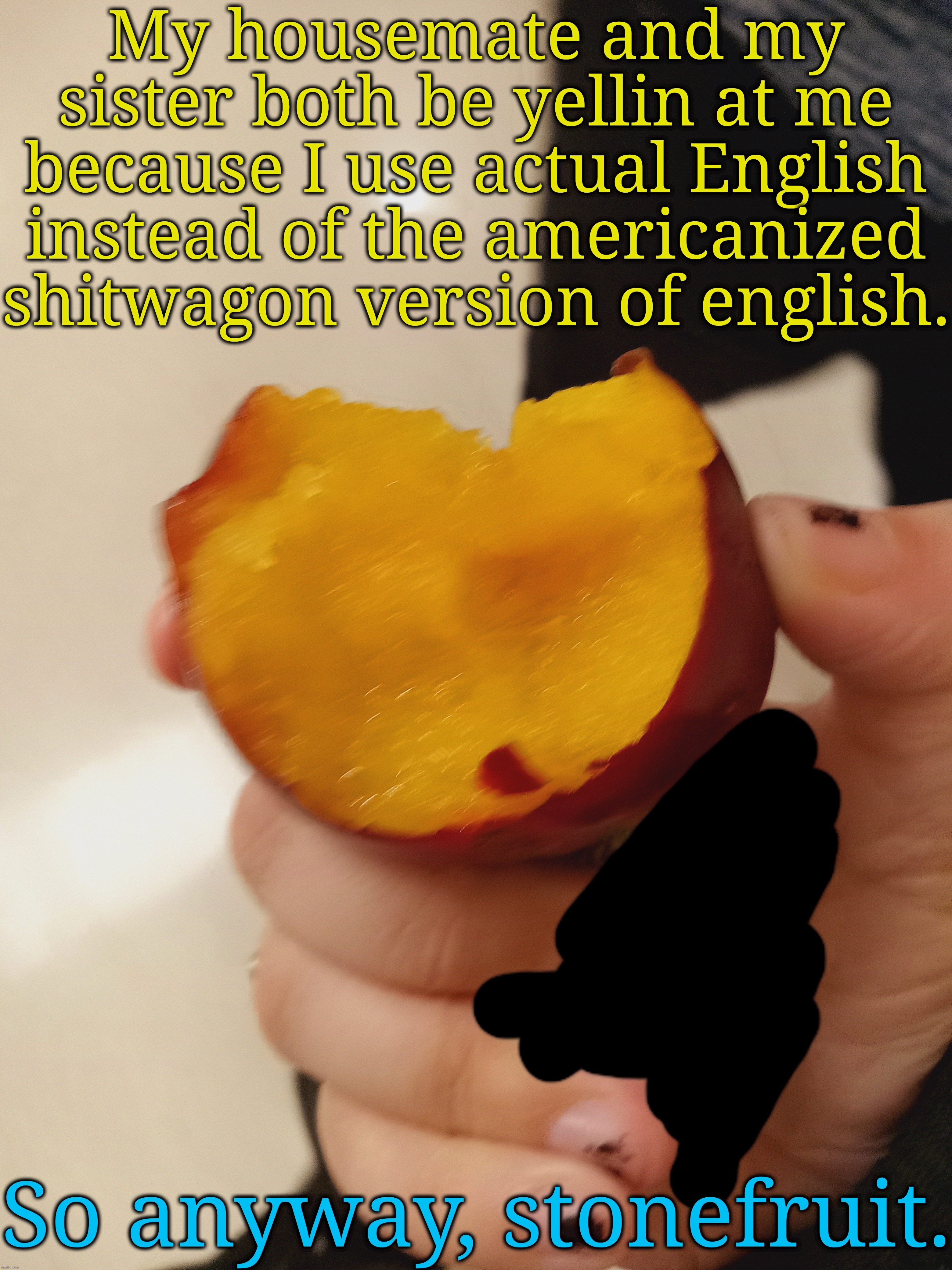 My housemate and my sister both be yellin at me because I use actual English instead of the americanized shitwagon version of english. So anyway, stonefruit. | made w/ Imgflip meme maker