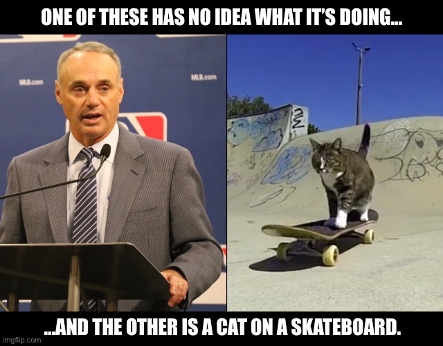 Need I say more? | ONE OF THESE HAS NO IDEA WHAT IT’S DOING…; …AND THE OTHER IS A CAT ON A SKATEBOARD. | image tagged in mlb,rob manfred,baseball,sports | made w/ Imgflip meme maker