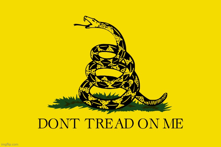 Gadsden Flag | image tagged in gadsden flag | made w/ Imgflip meme maker